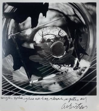 Acrylic Sphere, Glass Ashtray and Leaves on Grate, NY
