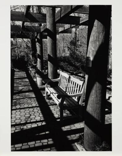 Afternoon Perspective (From Silver Ink Portfolio)