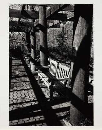 Afternoon Perspective, From Silver Ink Portfolio