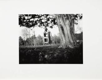 Untitled, From Silver Ink Portfolio
