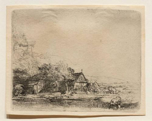 Landscape With A Cow