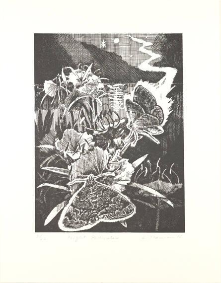 Night Pollinator (Sphinx Moth)