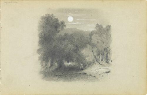 Moonlight in the Saluda Gap, South Carolina