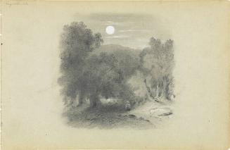 Moonlight in the Saluda Gap, South Carolina