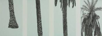 Palm