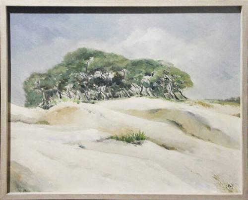 Oaks on Bluff, St. Catherine's Island