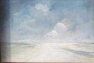 Cabretta Beach at Low Tide (Low Tide, Cabretta Beach)