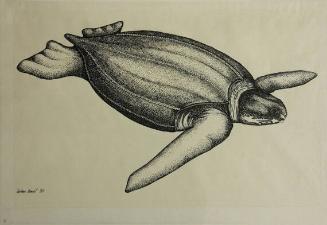 Leatherback Turtle