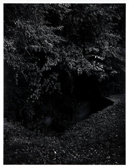 Untitled, University of Georgia, Athens, GA from the series "Ghosts of the Oconee"