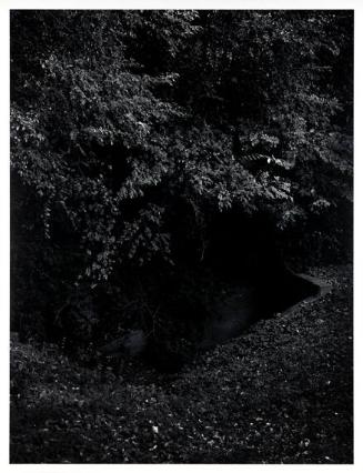 Untitled, University of Georgia, Athens, GA from the series "Ghosts of the Oconee"