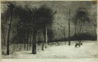 Hiver ou le Loup dans la Neige