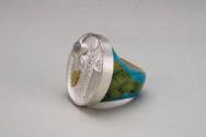 Earth Beneath Our Feet: Ring #1