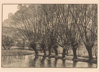 Willows on the Water