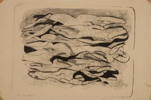 The Swimmers