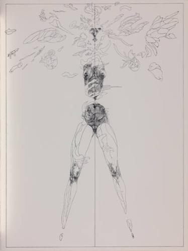 Untitled (Female Nude)