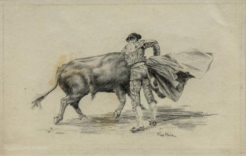 Bull Making Pass from the Left