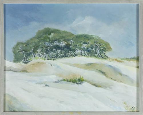 Oaks on Bluff, St. Catherine's Island
