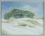 Oaks on Bluff, St. Catherine's Island