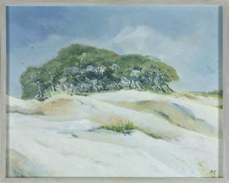 Oaks on Bluff, St. Catherine's Island