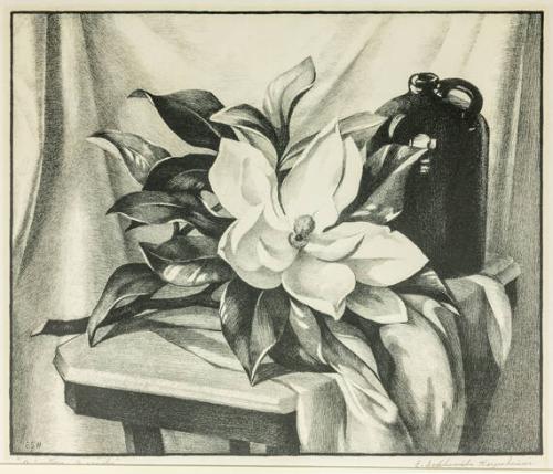 A Southern Magnolia