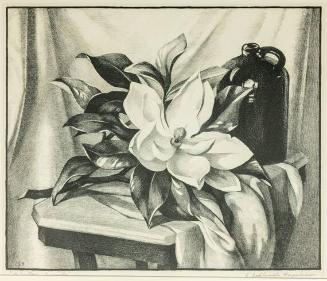 A Southern Magnolia