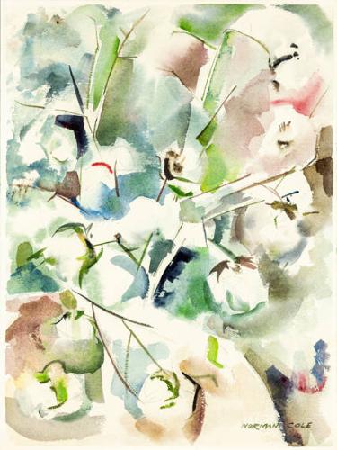 Cotton