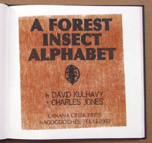 A Forest Insect Alphabet
