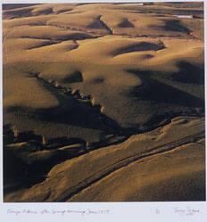 Konza Prairie after Spring Burning
