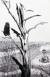 Untitled (Dead Tree With Vulture)