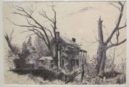 Untitled (house with large bare trees)