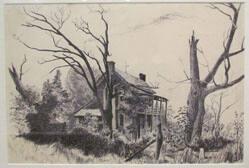 Untitled (house with large bare trees)