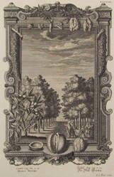 Garden Of Walnut Trees, From Physica Sacra By Johannes Jacob Scheuchzer