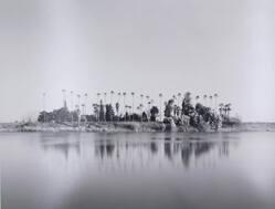 Delta Farm, Sacramento River, California, from The Great Central Valley Project