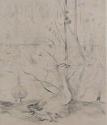 Untitled (ducks)