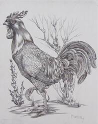 The Rooster