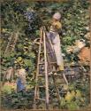 Gathering Plums