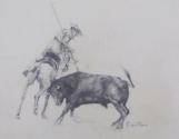 Picador and Bull