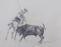 Picador And Bull