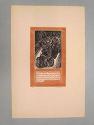 Luke drove nervously, erratically, wildly..., from a portfolio of 25 original wood engravings inspired by Thomas Wolfe's "Look Homeward, Angel"