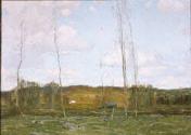 Connecticut Scene