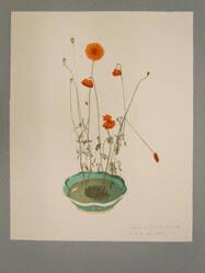 Poppies in an Oriental Bowl