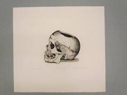 Dr. R's Skull (State I)