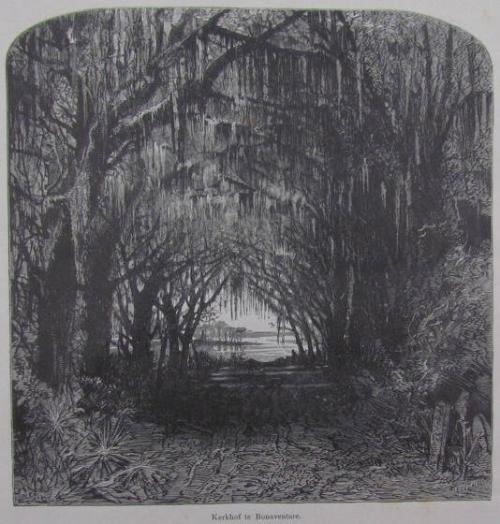 Kerkhof te Bonaventure (Bonaventure Cemetery), from Geillustreerd Amerika, the Dutch version of William Cullen Bryant, et. Picturesque America (New York: D. Appleton and Company, 1872)