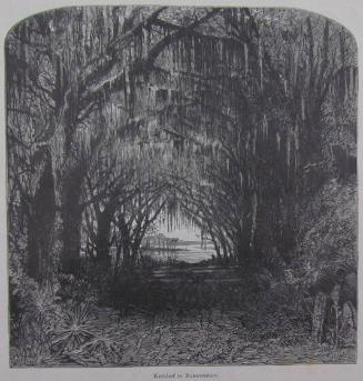 Kerkhof te Bonaventure (Bonaventure Cemetery), from Geillustreerd Amerika, the Dutch version of William Cullen Bryant, et. Picturesque America (New York: D. Appleton and Company, 1872)