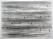 Morning Birds