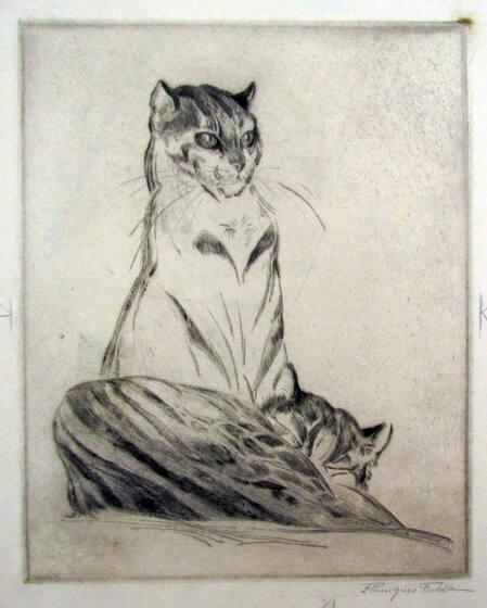 Cats