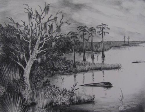 Memory of Okefenokee Swamp
