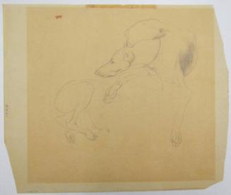 Untitled (Dogs)