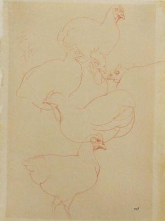 Untitled (Chickens)