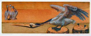Pelican Stretching